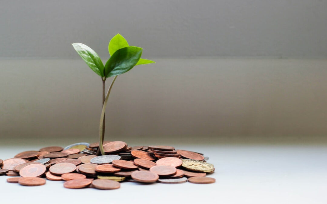 Tips for Managing Money as a Non-Profit